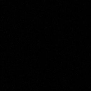 Meet your Posher, Rose